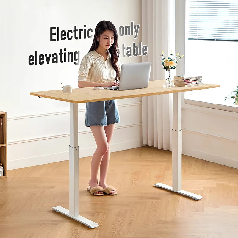 Adjustable Desk  Electric  Computer Table Modern Lift Motorized Gaming Desktop Home Office Desks