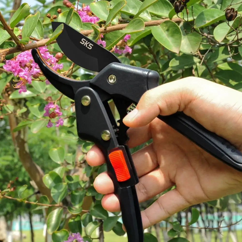 Garden Scissors  Tree Trimmers Hand Clippers